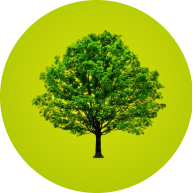 Tree in green circle icon