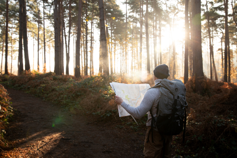 Man looking at map in forest