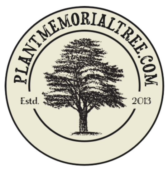 PMT new logo