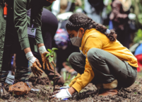 Group of people planting trees