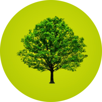 Plant Memorial Tree green logo